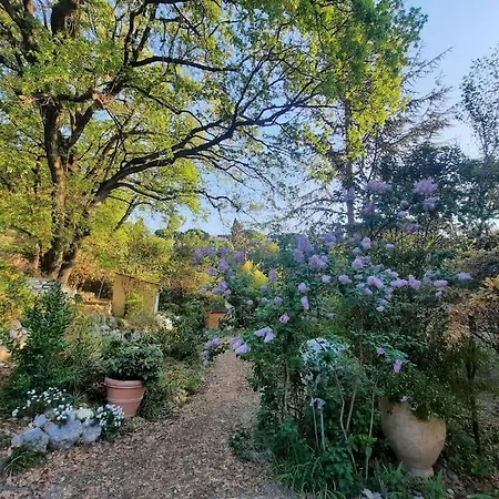Domaine Des Petites Soeurs A 800m Du Centre Historique Avec 5200m2 De Parc Arbore * Vence